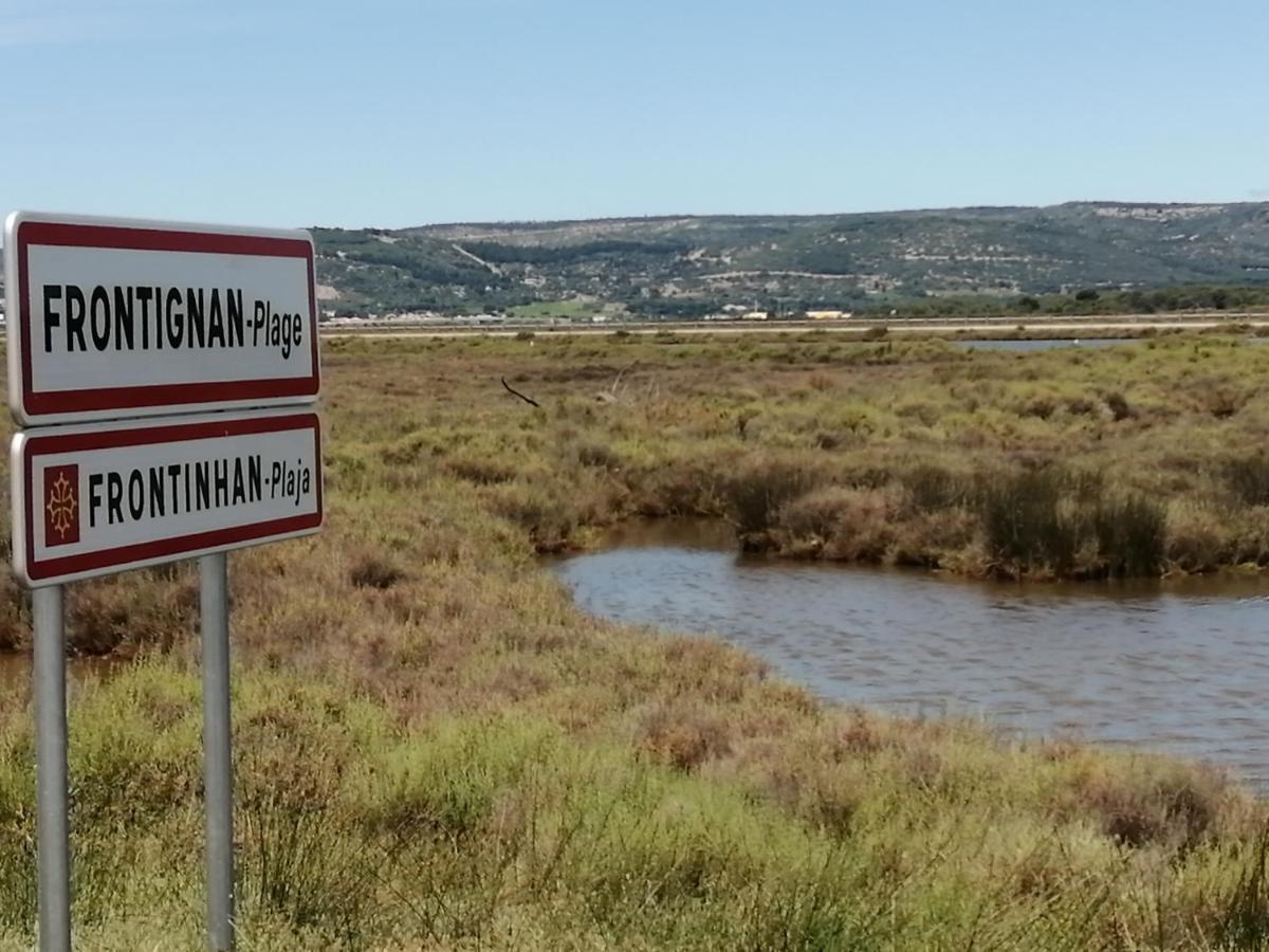 Studio Plage Anthemis Frontignan Εξωτερικό φωτογραφία